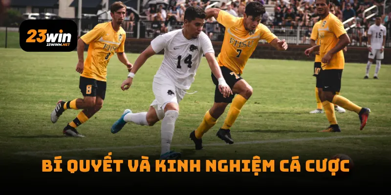 Bí quyết và kinh nghiệm cá cược