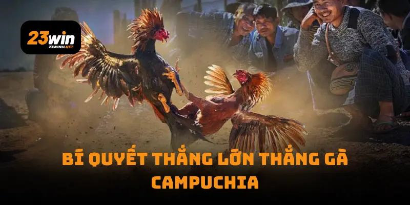 Bí quyết thắng lớn thắng gà Campuchia