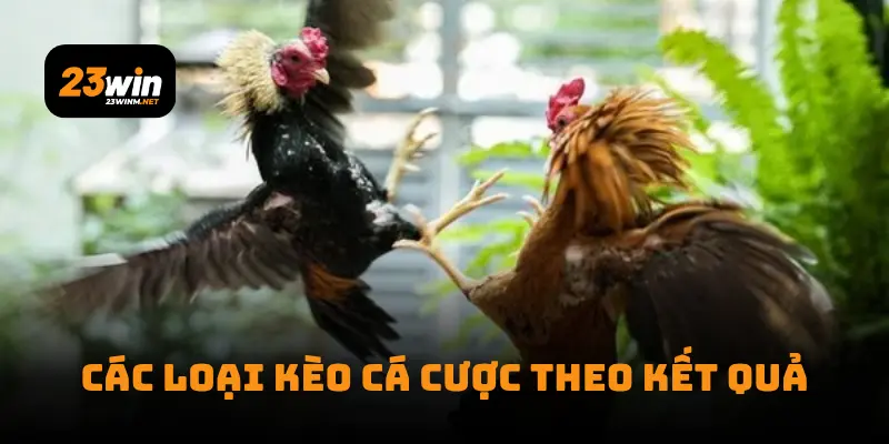 Các loại kèo cá cược theo kết quả