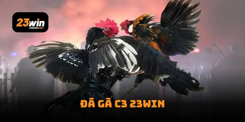 Đá Gà C3 23win