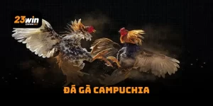 Đá Gà Campuchia