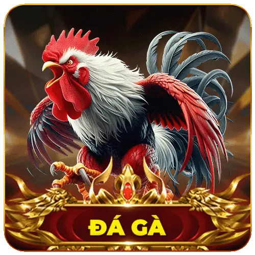 đá gà 23win