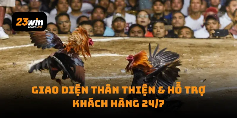 Giao diện thân thiện & hỗ trợ khách hàng 24/7