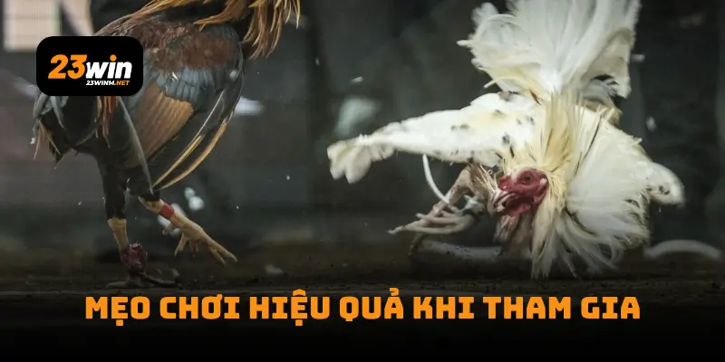 Mẹo chơi hiệu quả khi tham gia