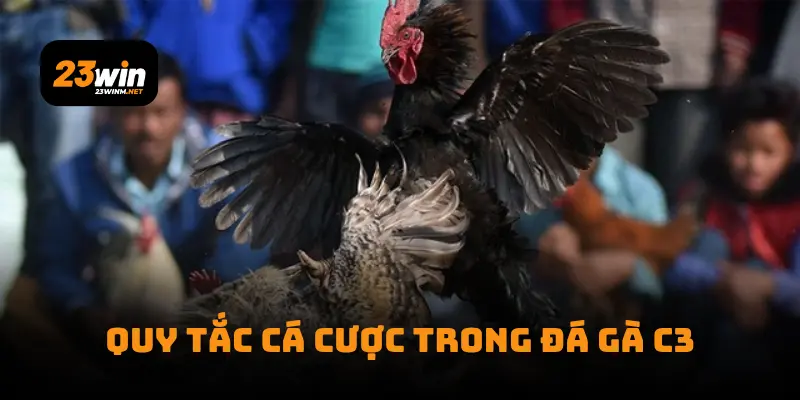 Quy tắc cá cược trong đá gà C3