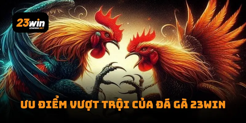 Ưu điểm vượt trội của đá gà 23WIN