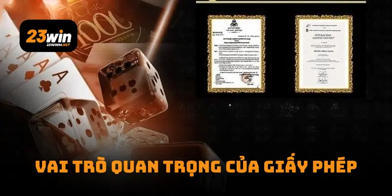 Vai trò quan trọng của giấy phép